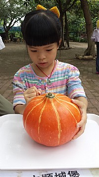 南瓜DIY