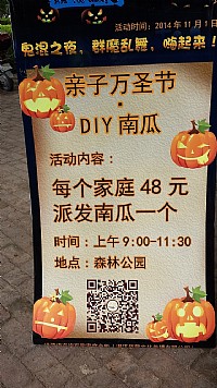 南瓜DIY