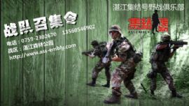 野战战队召集令