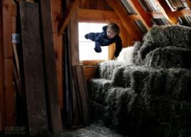 宝宝的飞翔梦！