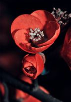 【分享】我爱这个丑陋的但是可爱的小世界