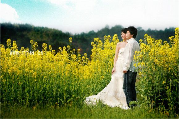 油菜花地_油菜花地婚纱照