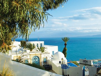 西迪布赛蜜月旅行手册1