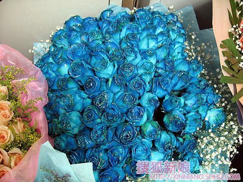 看看牛人的求婚方案1