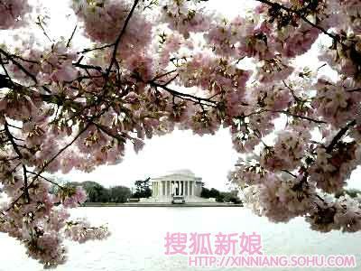 寻找世界上最浪漫的求婚地点1