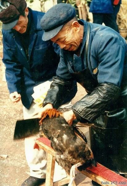 四川川北农村的婚俗习惯3