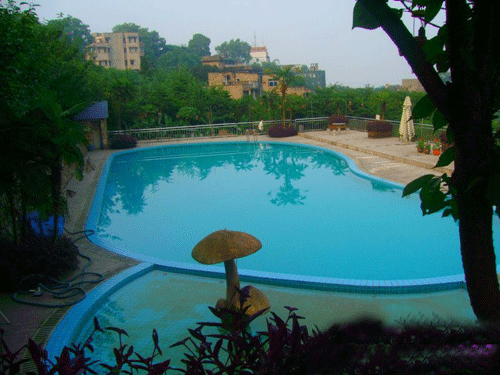 时尚的泳池婚礼1