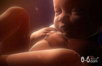 大揭秘:胎儿为何能在妈妈的羊水里生存?