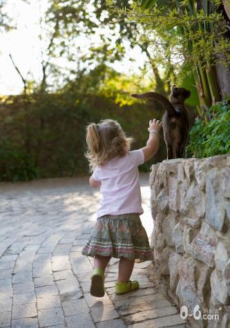  在宝宝和宠物之间你怎么选择？