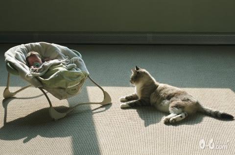  在宝宝和宠物之间你怎么选择？