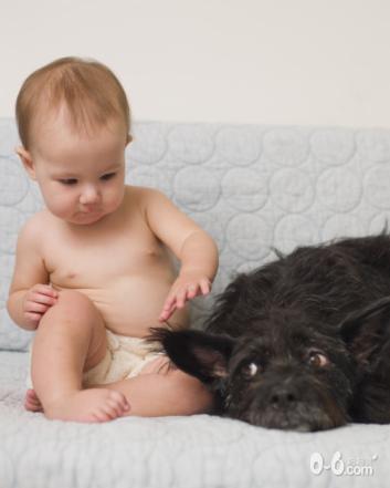  在宝宝和宠物之间你怎么选择？