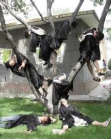 从前有棵树，叫高树，树上挂了很多人