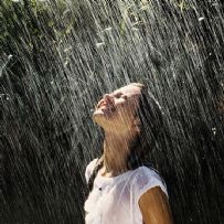 雨天摄影作品的意境美