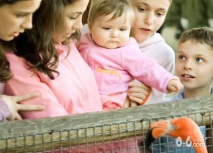 不要扼杀宝宝的责任心