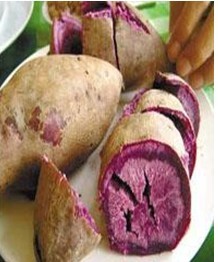 4道午餐让宝宝更聪慧