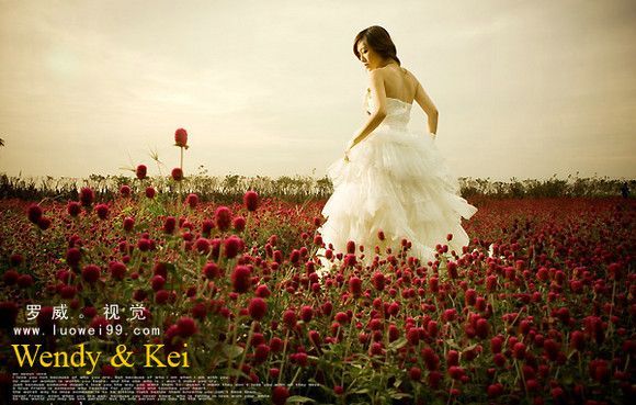 罗威视觉婚纱摄影推荐9