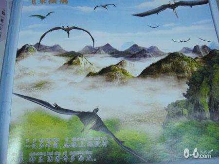 奇奇颗颗历险记