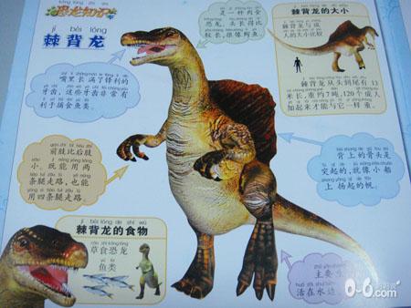 奇奇颗颗历险记