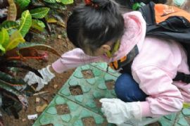 “环保湛江，从我做起”