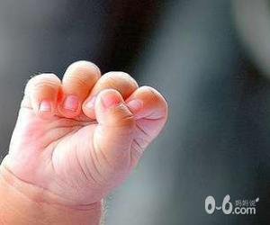 宝宝的手语预示心情
