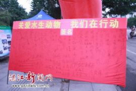 关爱水生动物 雷州在行动