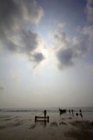 吴川风光摄影，享受静谧与美