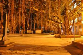 湛江师范学院-夜