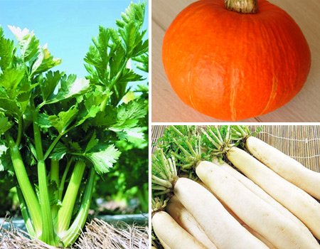 含各类维生素的食物