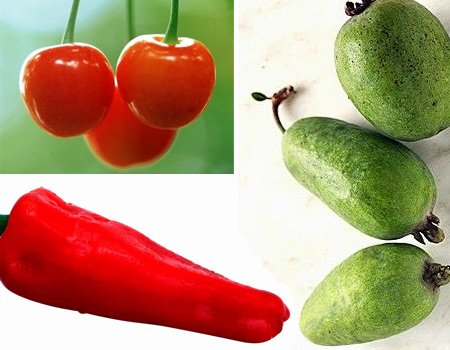 含各类维生素的食物