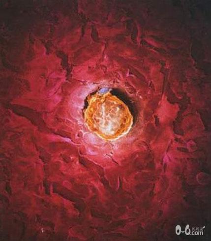 图解人体受精及胚胎发育过程_胎儿发育_怀孕