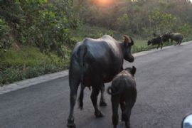 湛江云游山间！