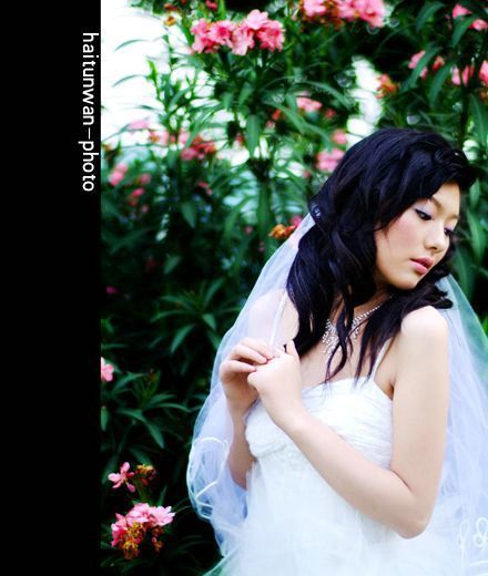 海豚湾婚纱摄影样品推荐3