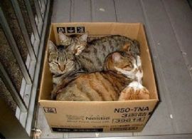 我要挤进去 我要挤进去