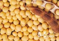 喂养宝宝的18个糊涂之举