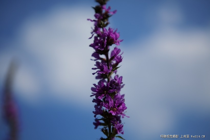 床品广告商业摄影