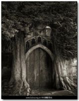 『他们在拍什么』Beth Moon，时间的肖像