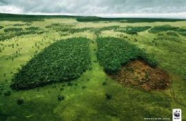 震撼的世界自然基金会绿色广告