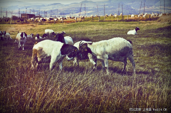 独家外景基地商业摄影
