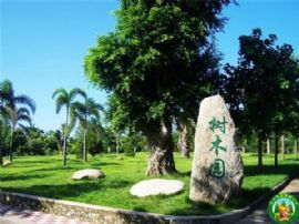 7月8号茂名森林公园一天游活动召集（报名截止）