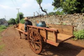 农场——我岳父的家之第二篇