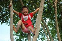 童趣——水稻田里抓螃蟹