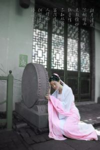 《朗月清风，浓烟暗雨，天教憔悴瘦芳姿》……