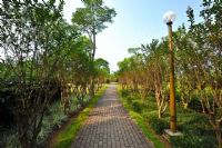 去拍美女的路上 右手食指发姣 按了几下快门止下痒 爽！