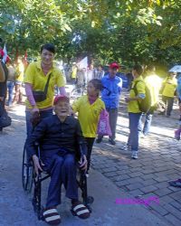 我陪老人游家乡