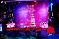 乐巢三周年感恩庆典(随拍)