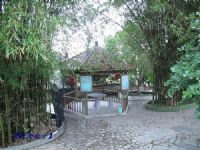 寻找最美的田园风光（廉江站）