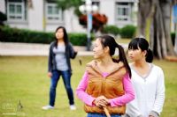 狼多肉少之群狼汹涌 (随拍)