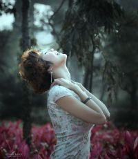 我们的海湾我们的家--美女旗袍不写真