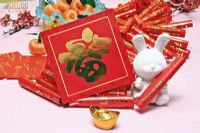 快乐泡泡——DIY亲子新春嘉年华活动报名