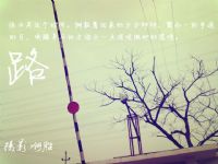 过年了发个帖抒发一下感情